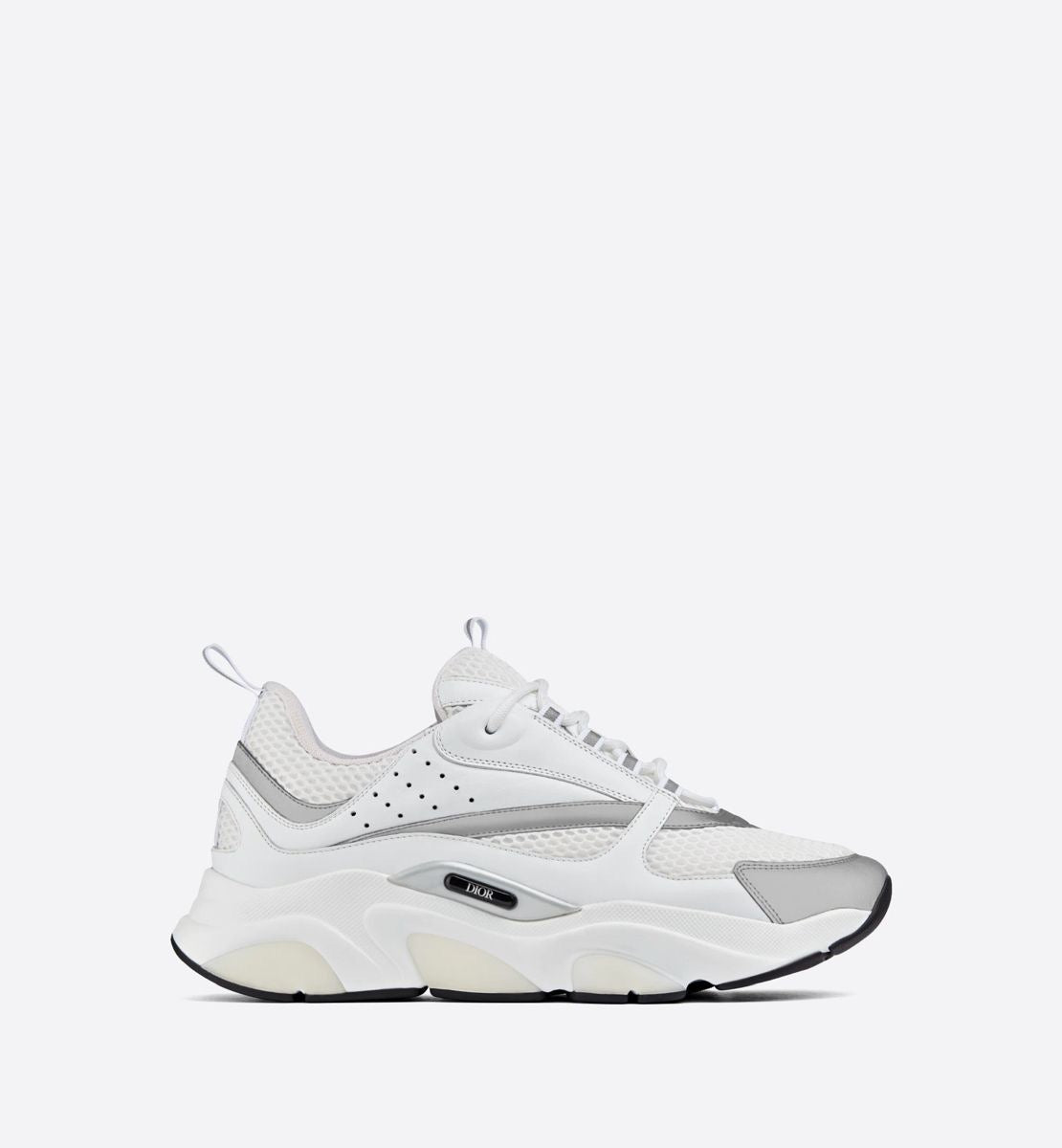 Dior B22 - White & Grey