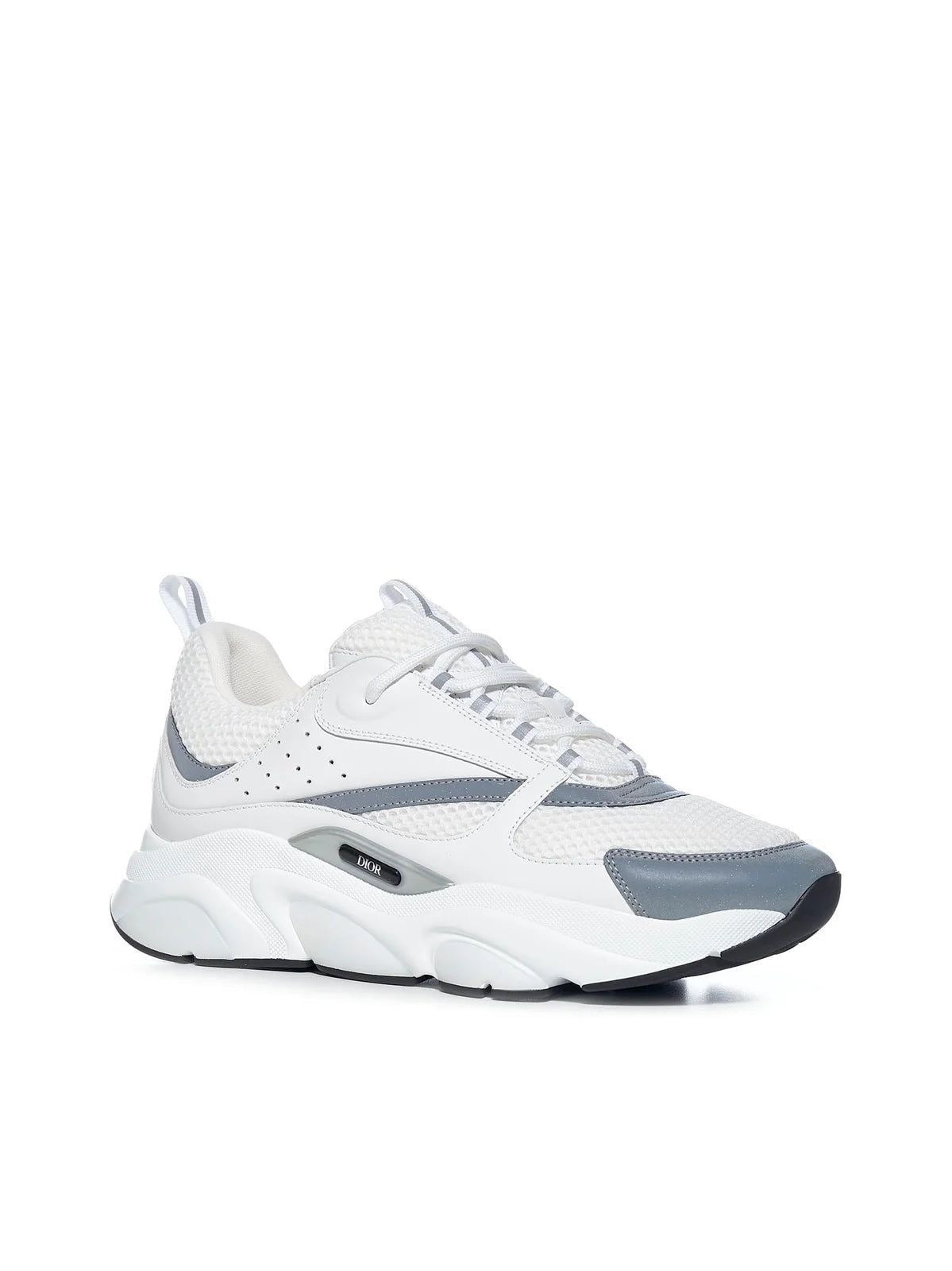 Dior B22 - White & Grey